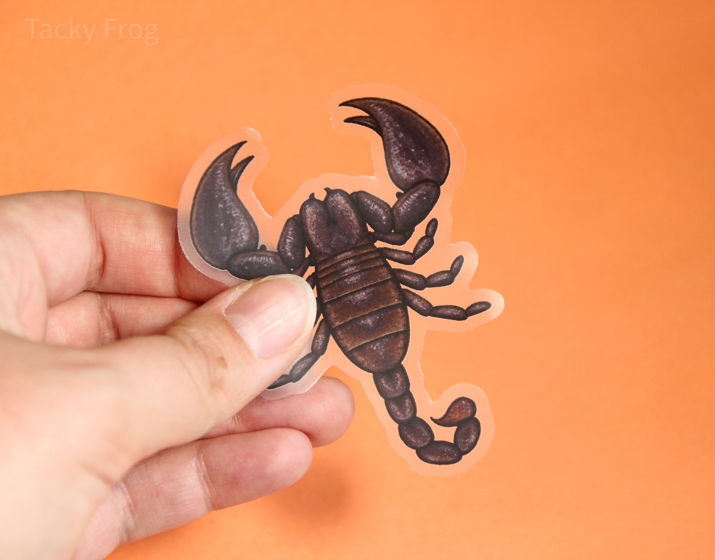 Another view of the scorpion clear vinyl sticker.