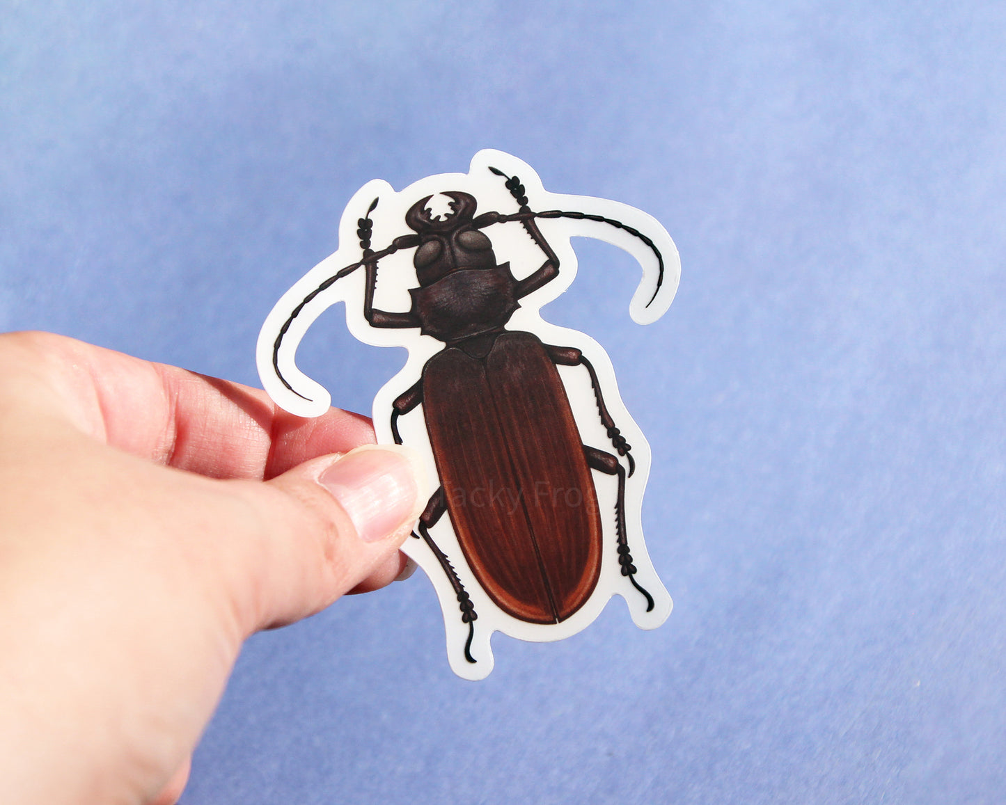 The titan beetle clear vinyl sticker with the white paper backing still on.