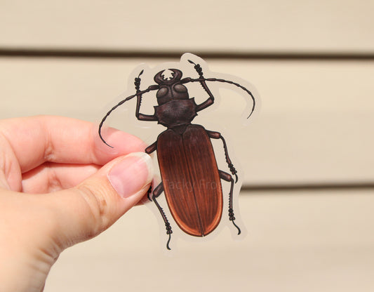 Another view of the titan beetle clear vinyl sticker.