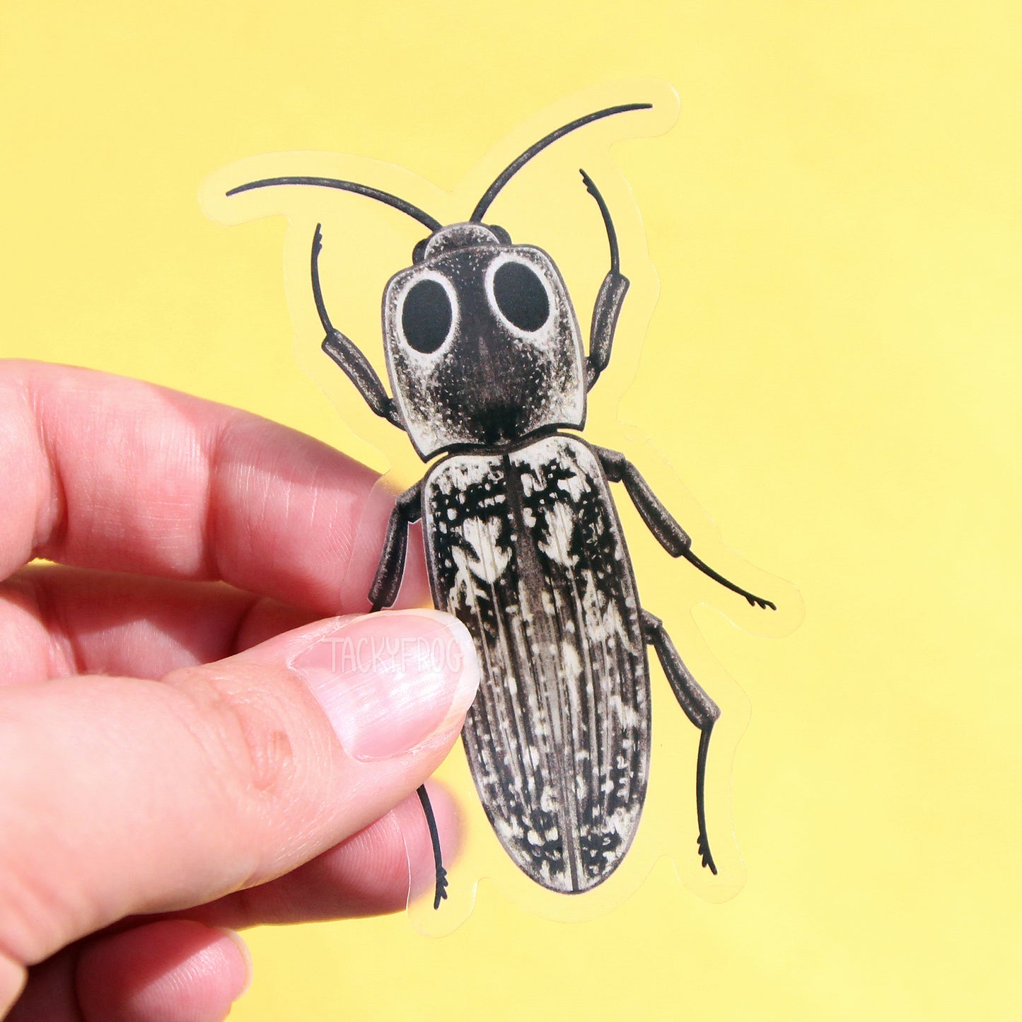 Another view of the black-and-white click beetle sticker.