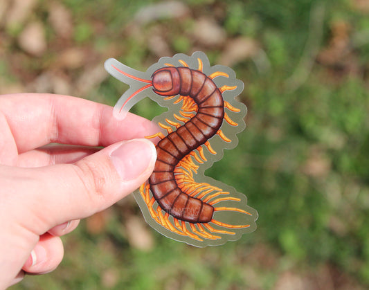 Another view of the centipede clear vinyl sticker.