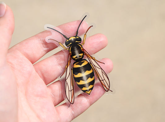 A clear vinyl sticker of a yellow jacket wasp.