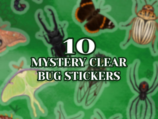 Blurred mockups of some of my clear vinyl stickers behind text that reads "10 Mystery Clear Bug Stickers".