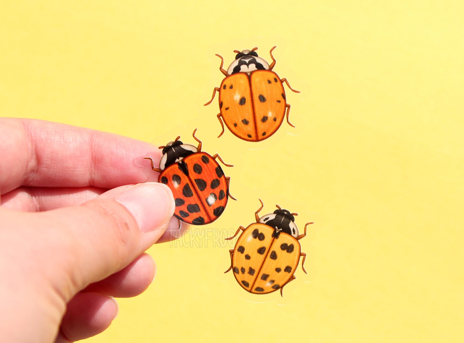A clear vinyl sticker of three ladybugs held over a yellow background.