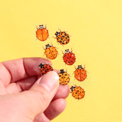 A clear vinyl sticker of eight ladybugs held over a yellow background.