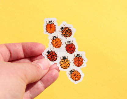The clear vinyl sticker of eight ladybugs with the white paper backing still on.