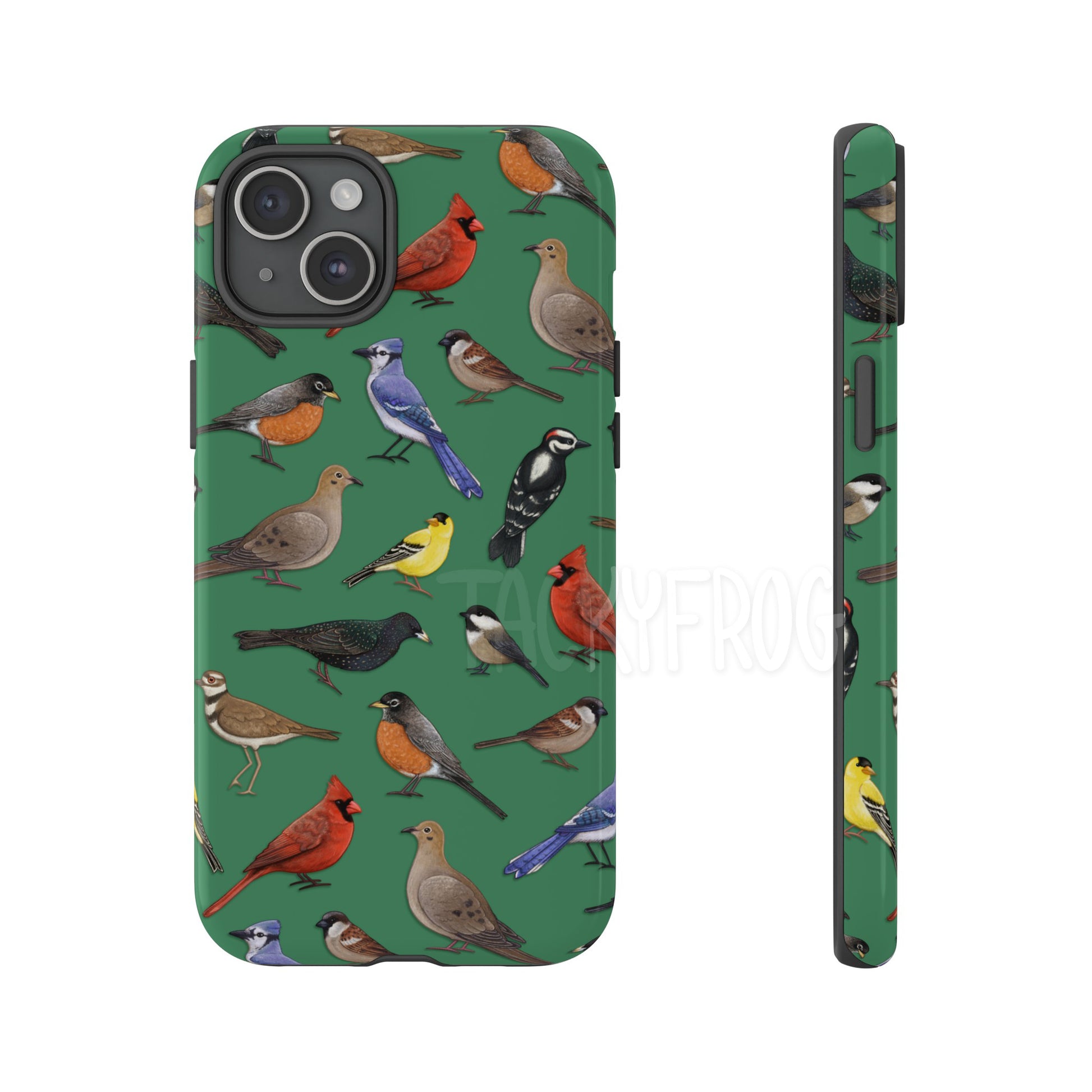 A mockup of the birds case.