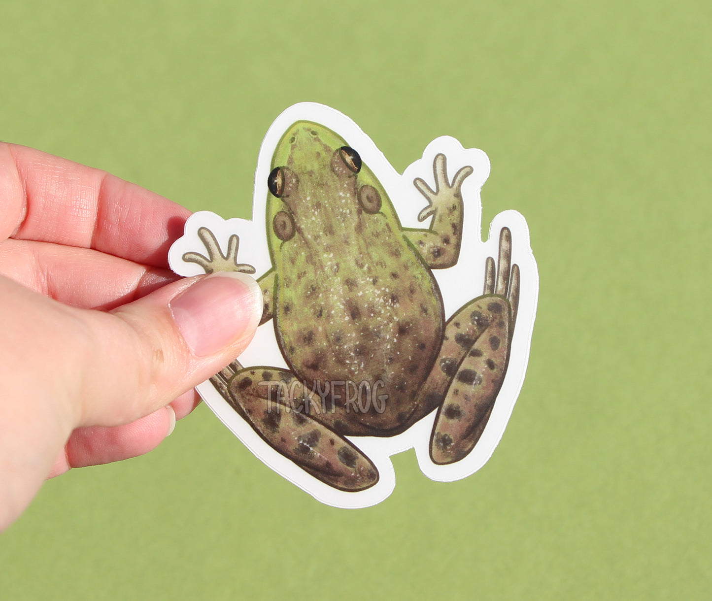 The bullfrog clear vinyl sticker with the white paper backing still on.