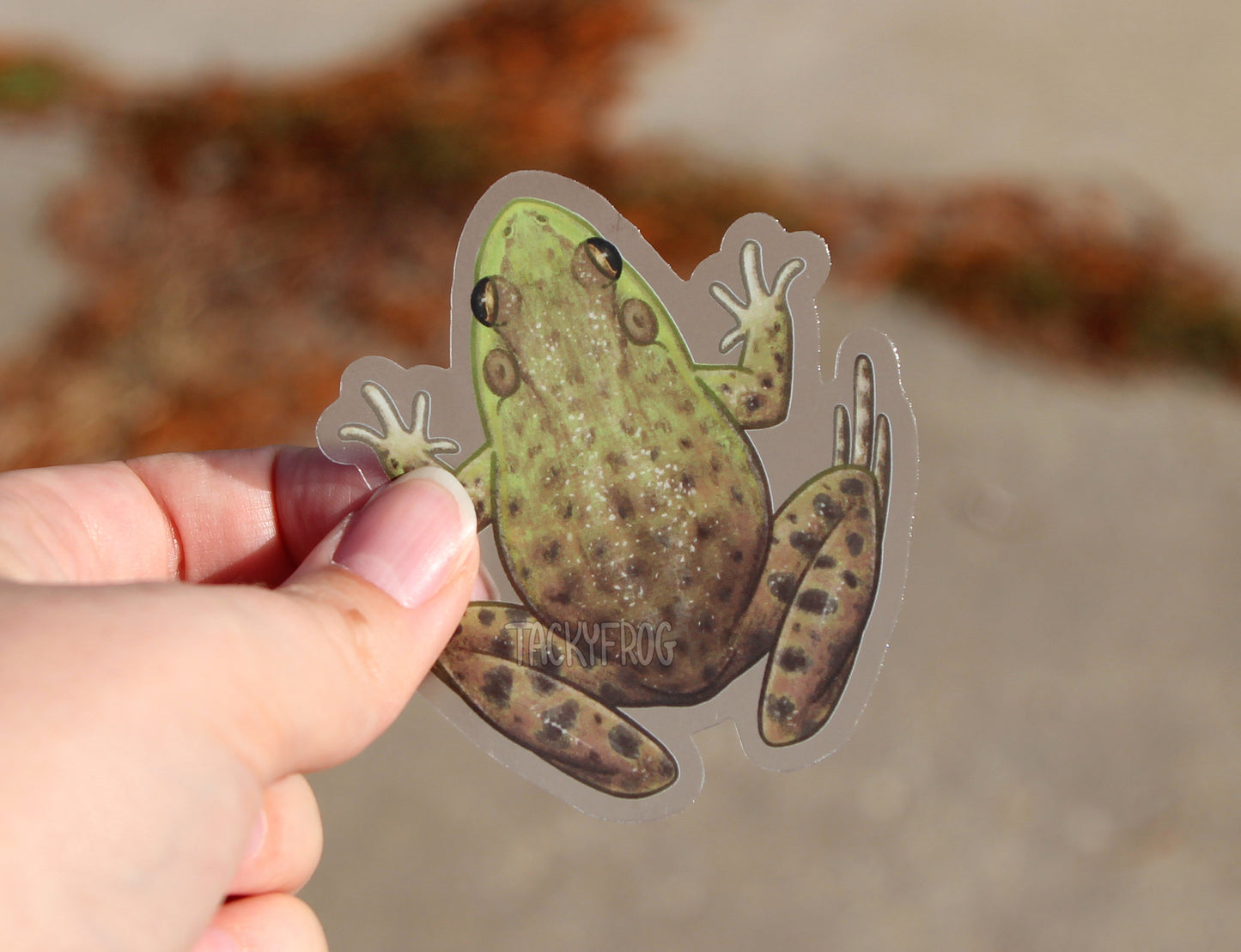 The bullfrog clear vinyl sticker held over an overgrown sidewalk.