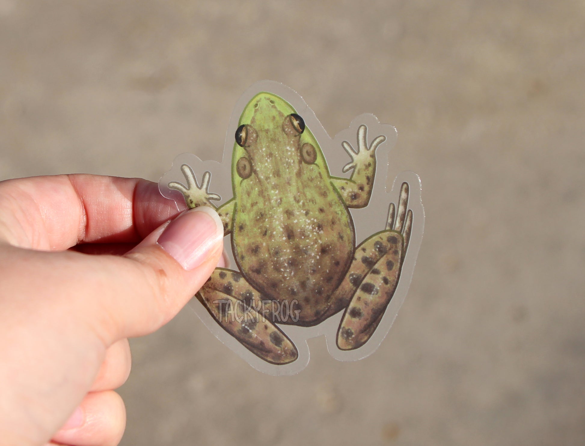 Another view of the bullfrog clear vinyl sticker held over concrete.