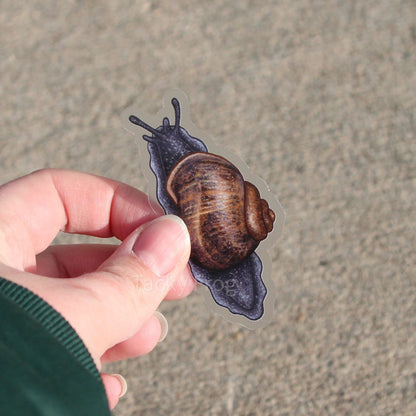 Another view of the dark blue and brown snail sticker.