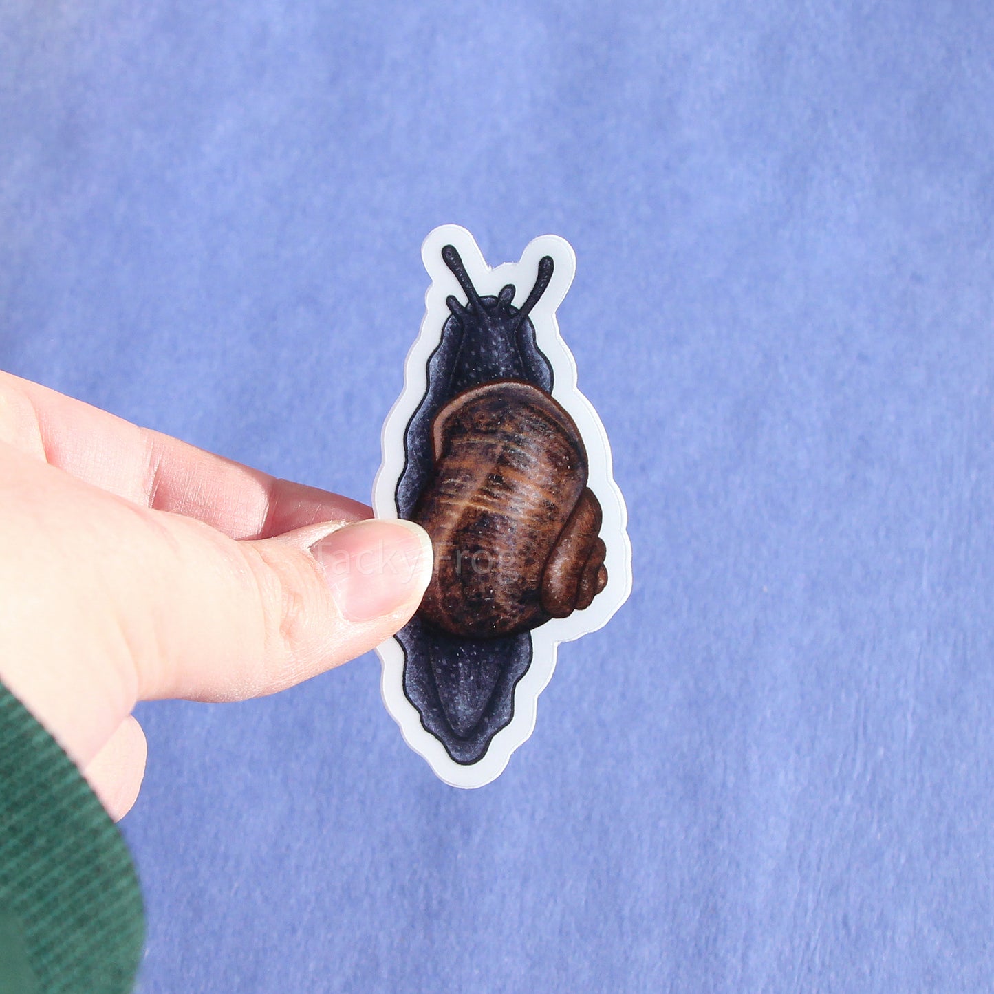 The dark blue and brown garden snail clear vinyl sticker with the white paper backing still on.