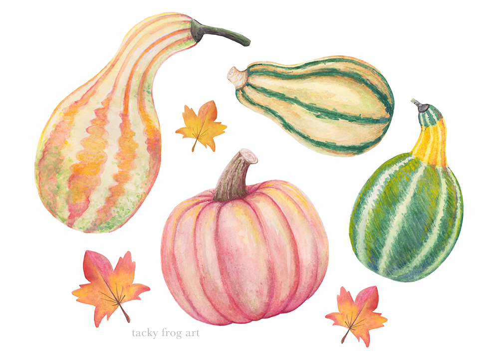 a watercolor painting of a pumpkin, gourds, and autumn leaves.