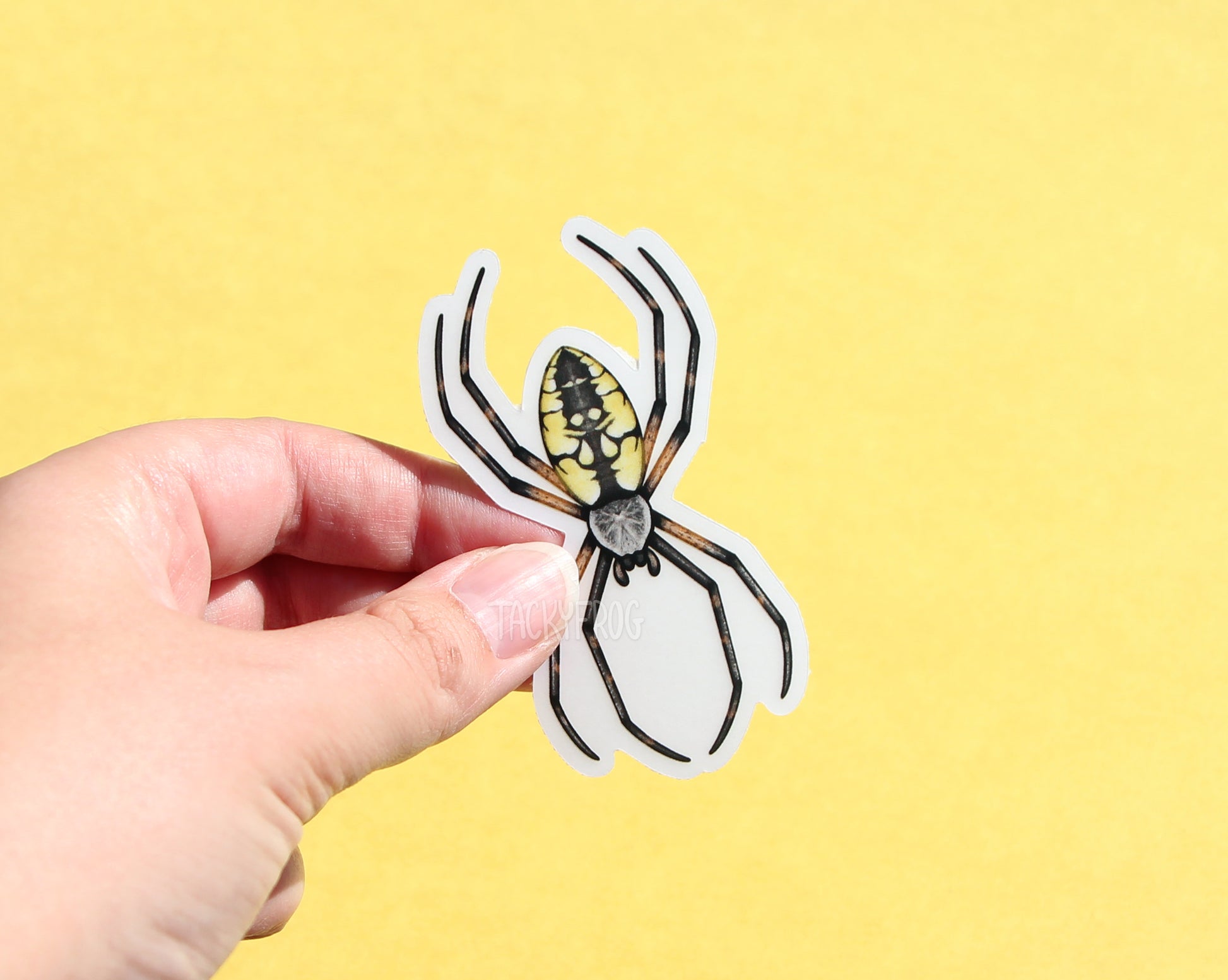 The garden spider clear vinyl sticker with the paper backing still on.