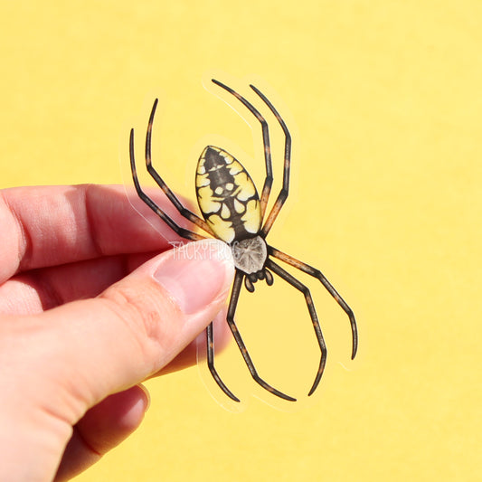 A clear vinyl sticker of a black and yellow orb weaver spider.