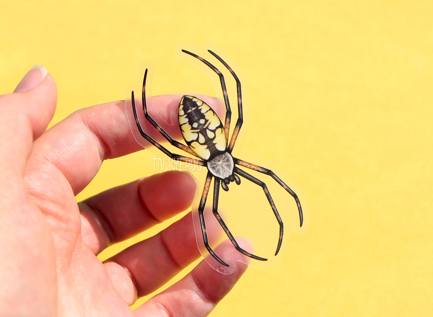 Another view of the clear vinyl sticker of a garden spider.