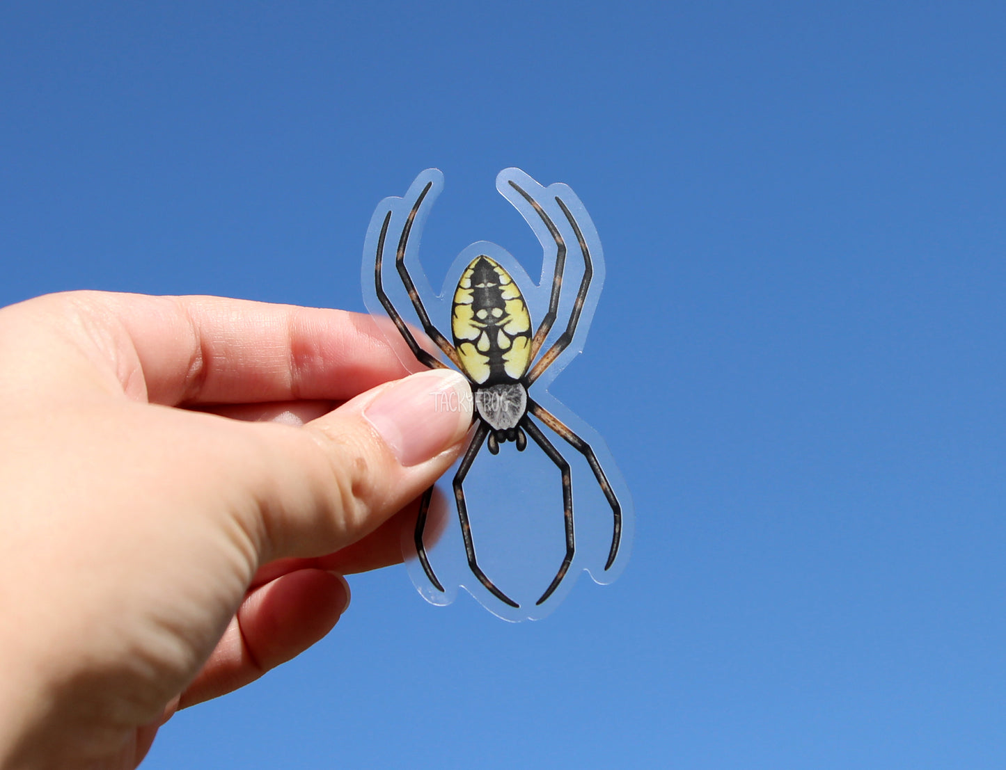 A clear vinyl sticker of a yellow garden spider held up in front of the sky.