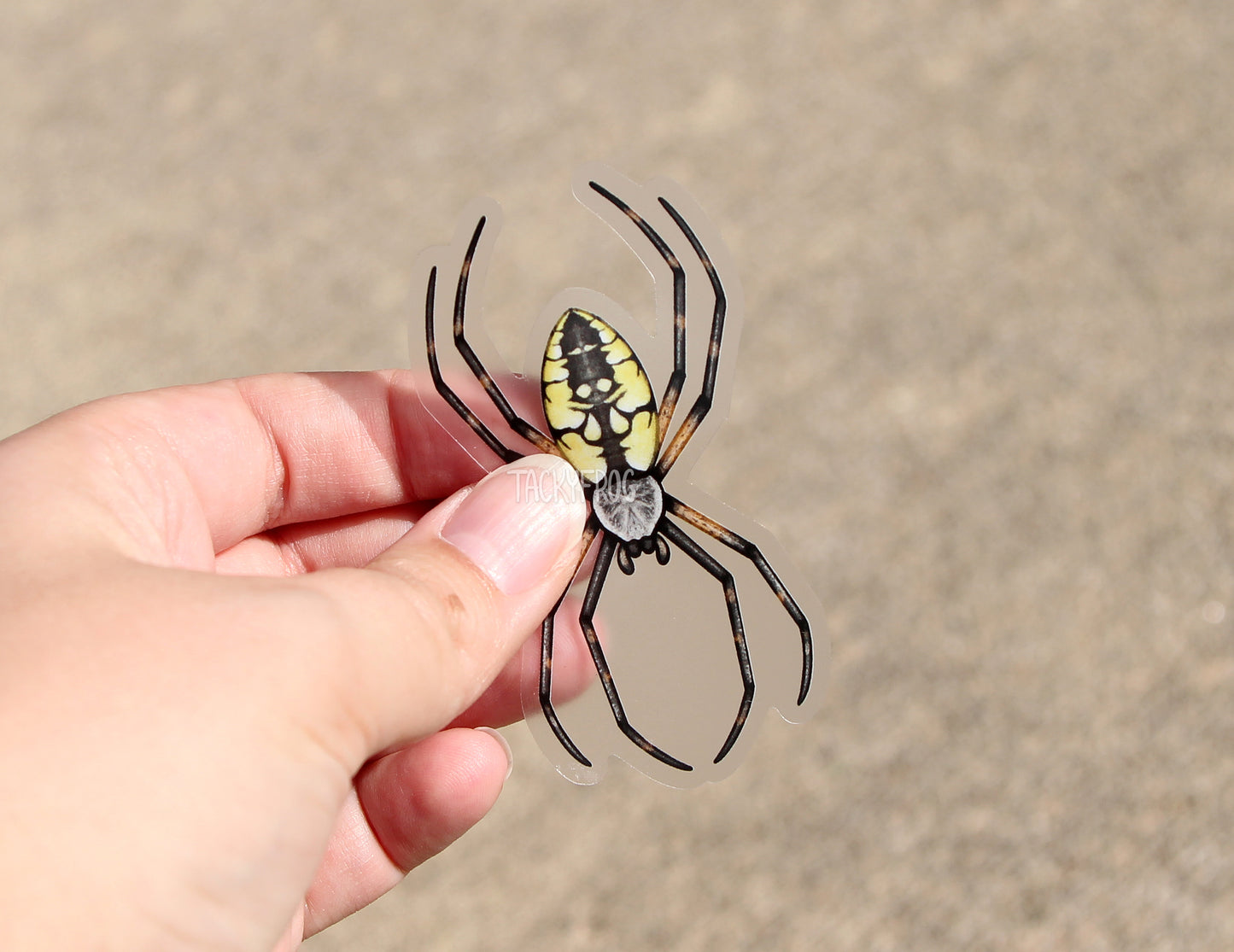 A clear vinyl sticker of a yellow garden spider held above concrete.