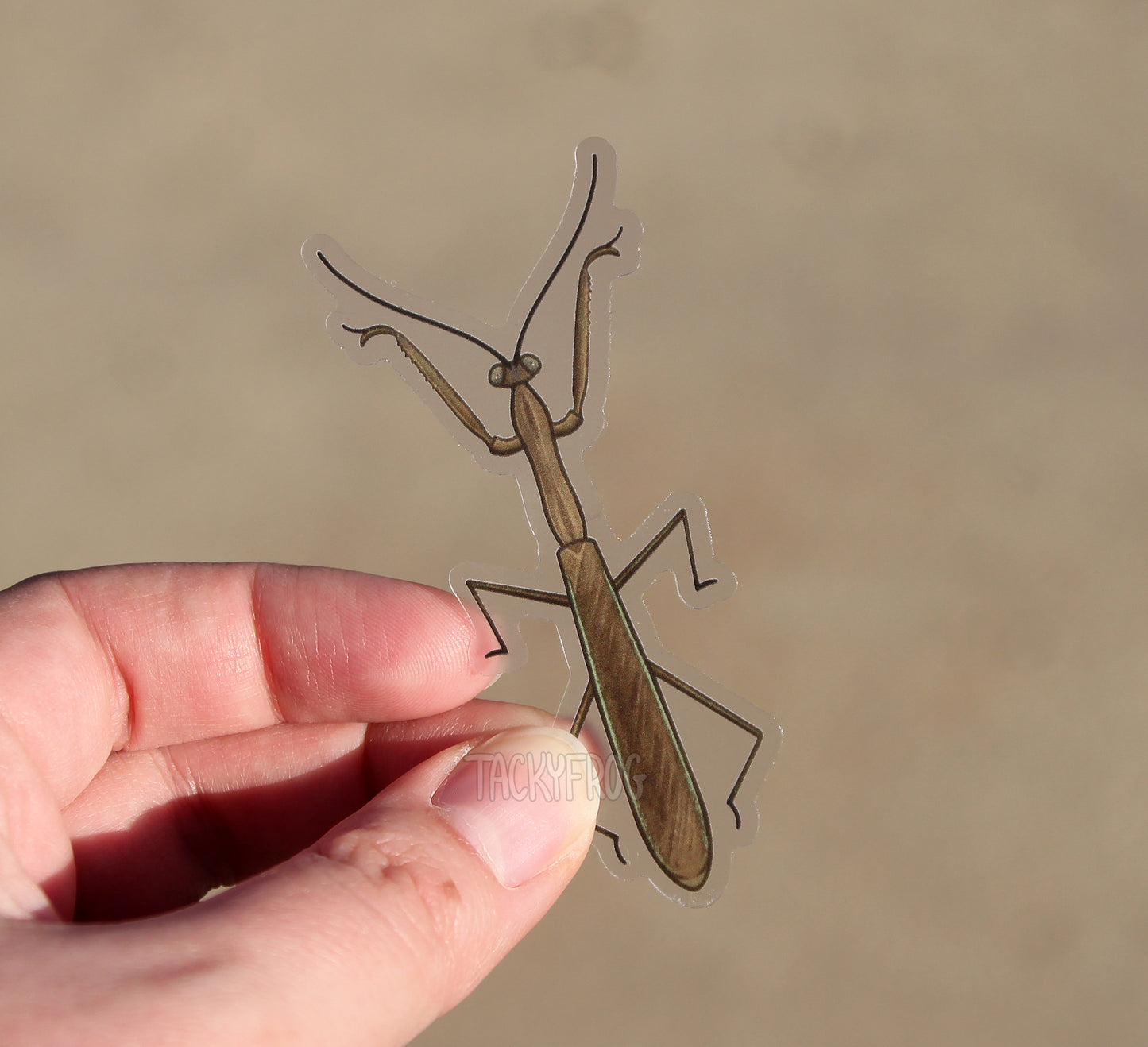 The praying mantis clear vinyl sticker held above some concrete.