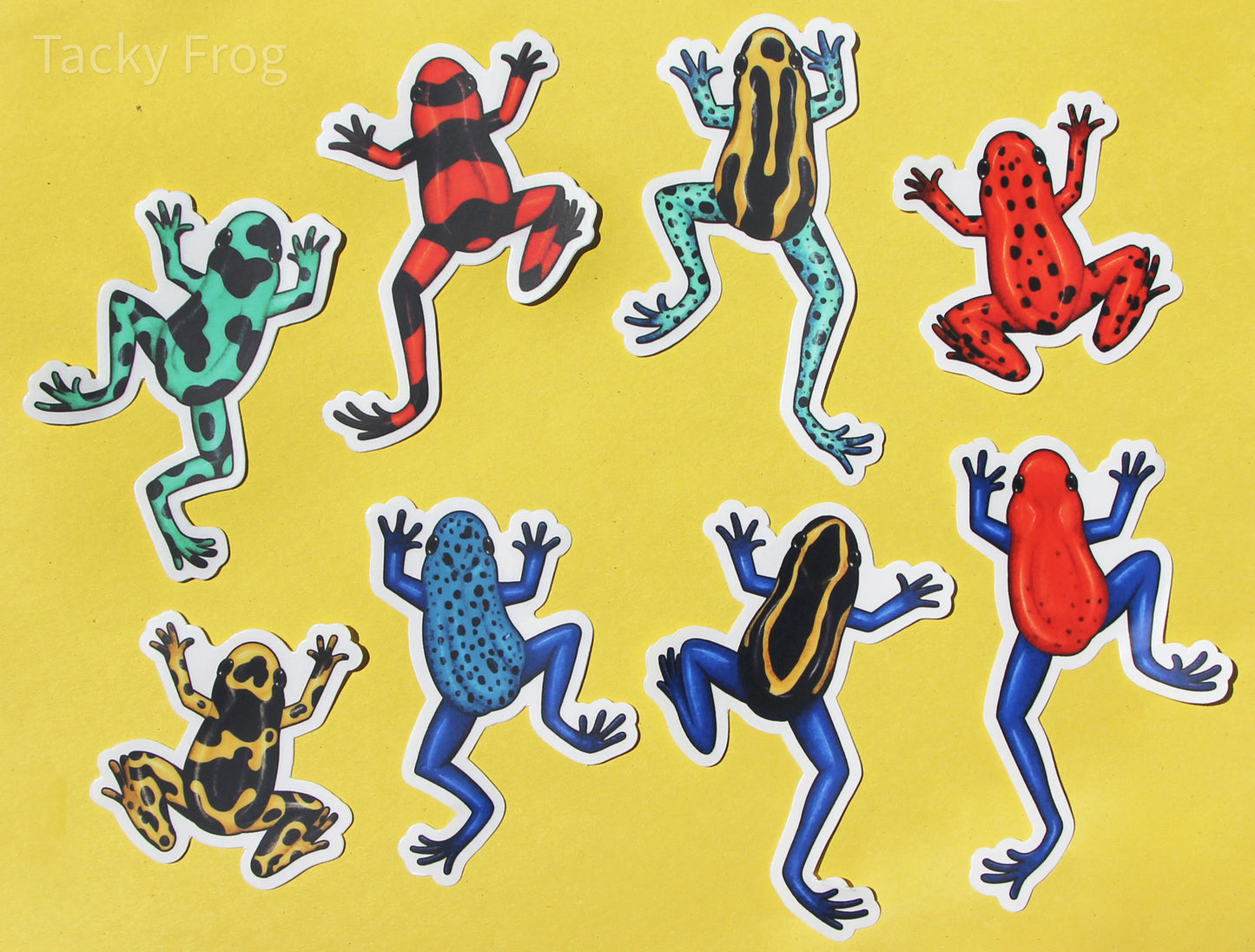 The eight dart frog clear vinyl stickers with the white paper backing still on.