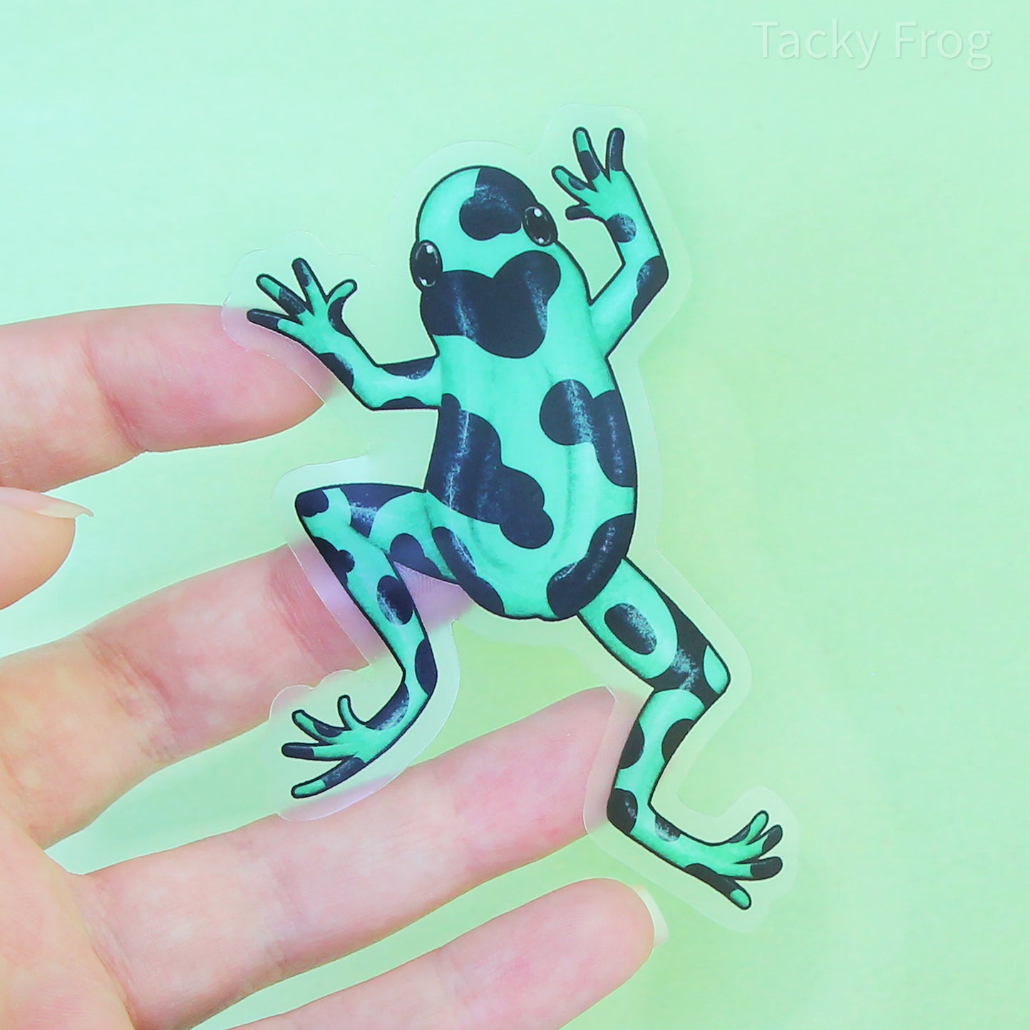 A clear vinyl sticker of a light green and black dart frog. It is approximately 2.25 by 3.5 inches.