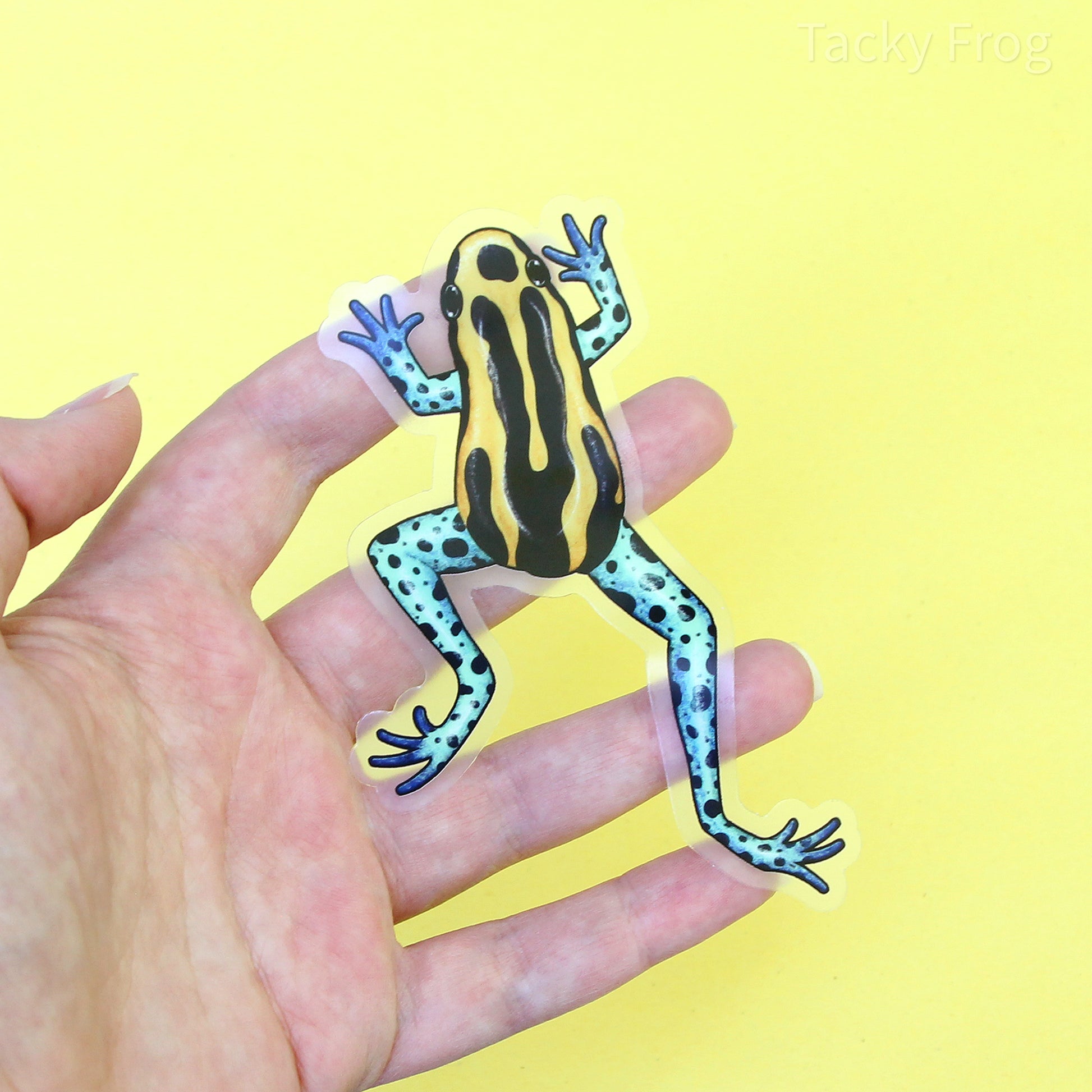 A clear vinyl sticker of a yellow, blue, and black dart frog. It is roughly 2.36 by 4.25 inches.