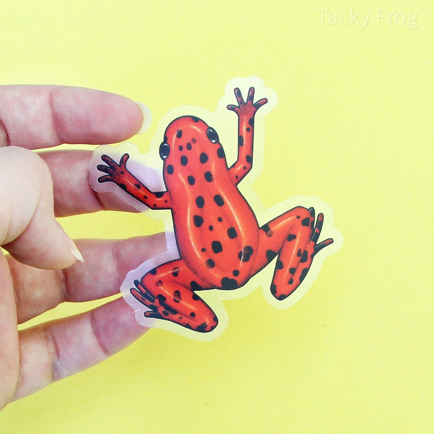 A clear vinyl sticker of a red spotted dart frog. It is roughly 2.4 by 2.5 inches.