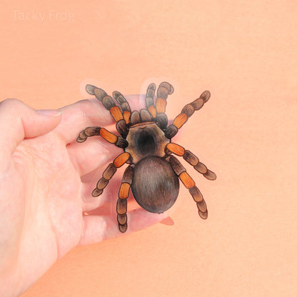 The 4-inch-tall clear vinyl sticker of a red-knee tarantula