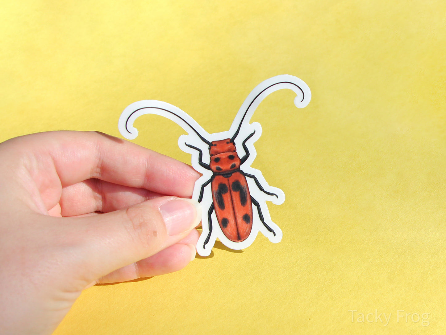 The milkweed beetle clear vinyl sticker with the white paper backing still on.