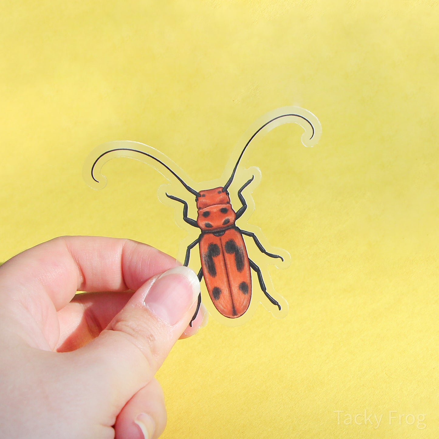 A clear vinyl sticker of a red spotted milkweed beetle.