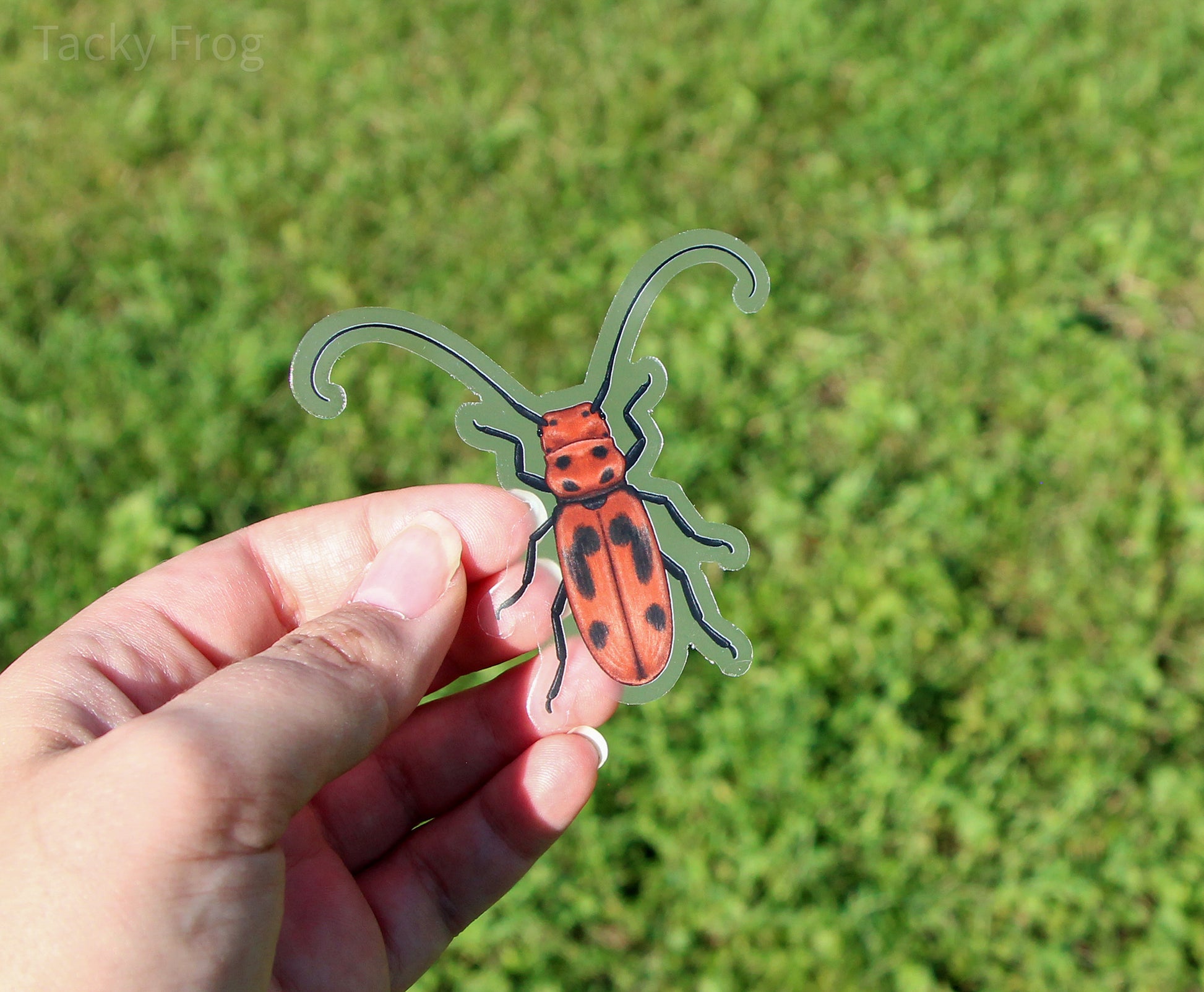 Another view of the red milkweed beetle clear vinyl sticker.