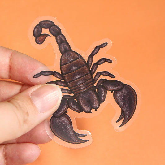 A clear vinyl sticker of a bulky brown scorpion.