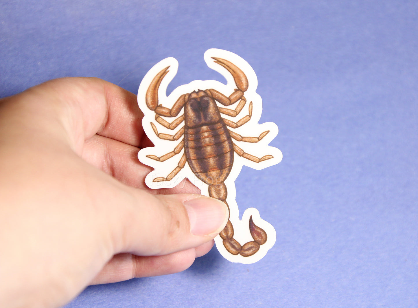 The clear vinyl sticker of a brown scorpion with the white paper backing still on.