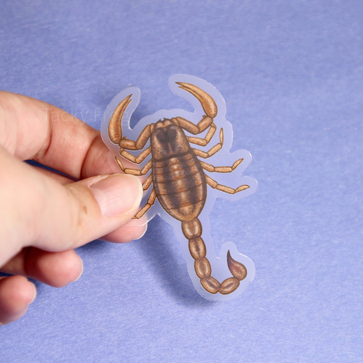 Another view of the brown scorpion clear vinyl sticker.