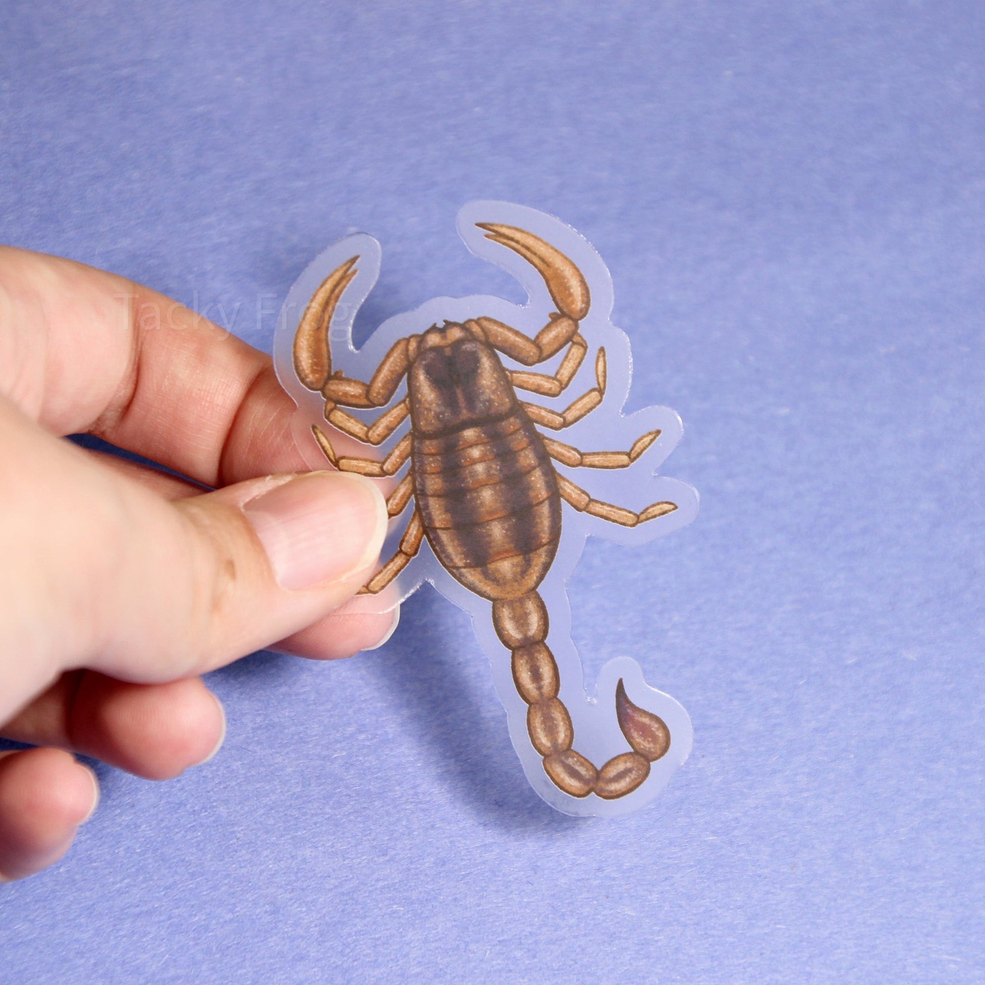 Another view of the brown scorpion clear vinyl sticker.