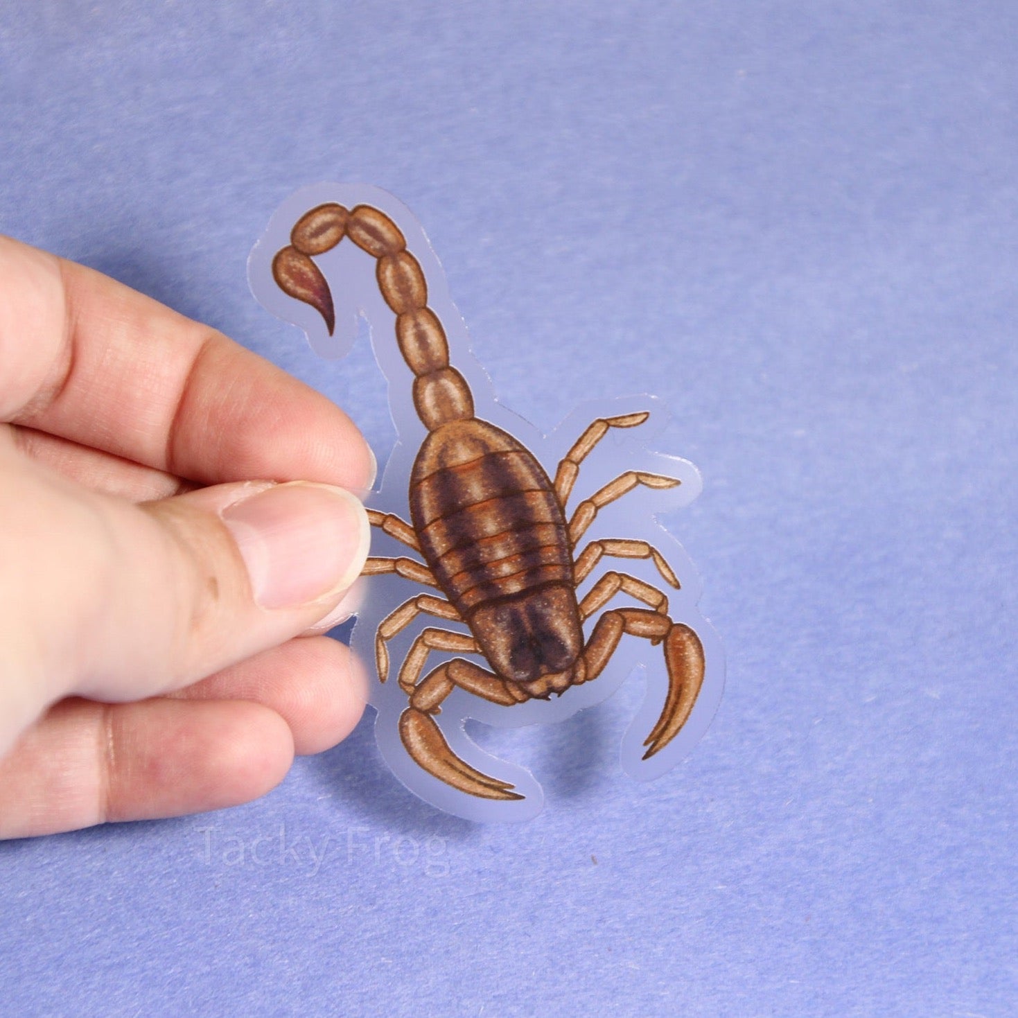 A clear vinyl sticker of a brown scorpion.