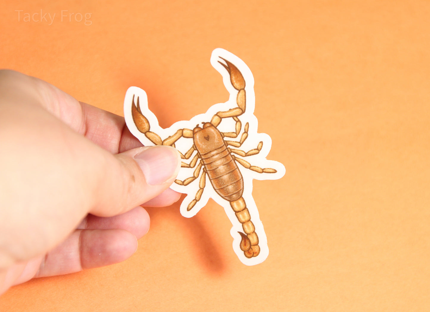 The tan scorpion sticker with the white paper backing still on.