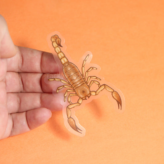 A clear vinyl sticker of a scorpion that is a warm tan and orange color.