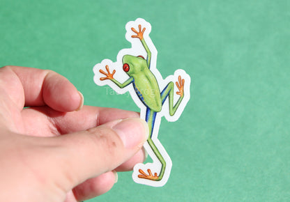 A clear vinyl sticker of a red-eyed tree frog with the white paper backing still on.