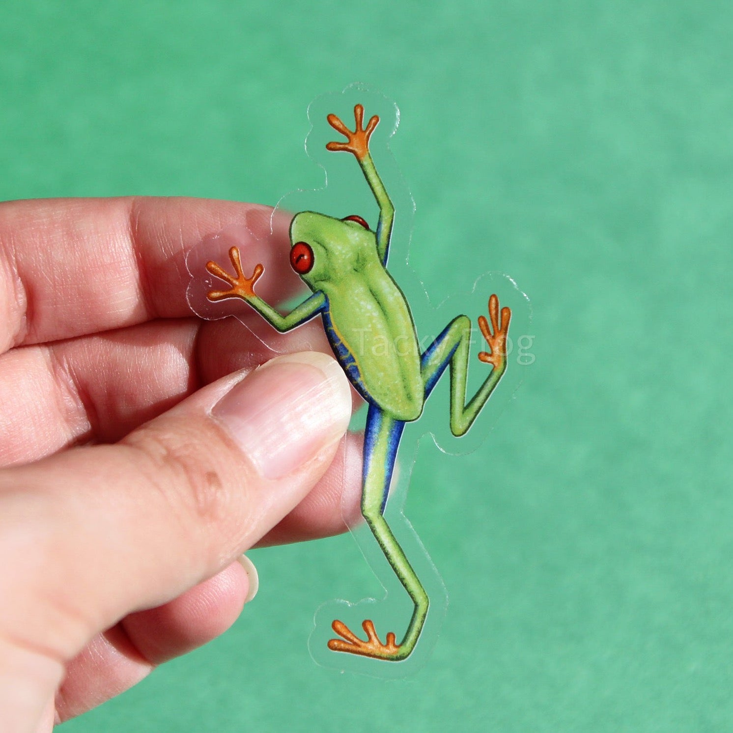 A clear vinyl sticker of a red-eyed tree frog.