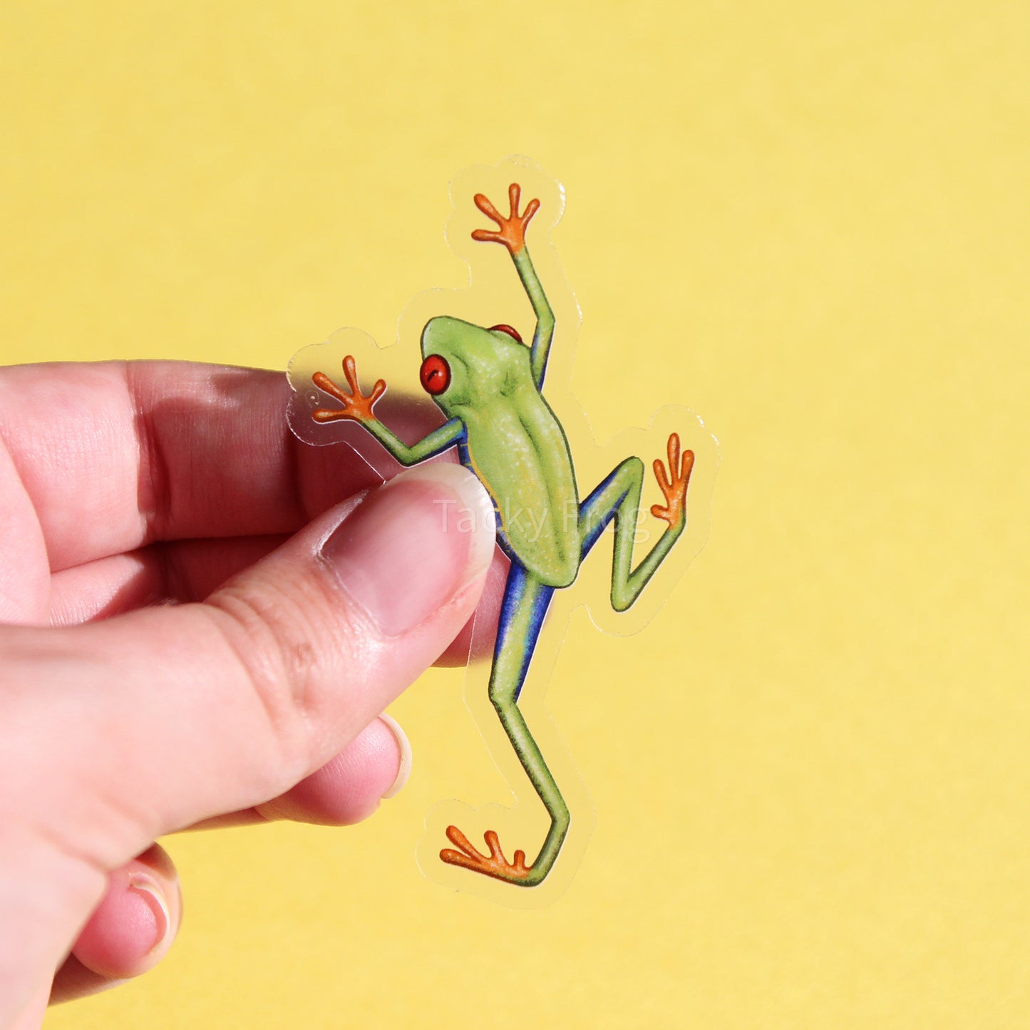 A clear vinyl sticker of a red-eyed tree frog.