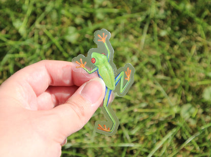 The red-eyed tree frog clear vinyl sticker held up over some grass.