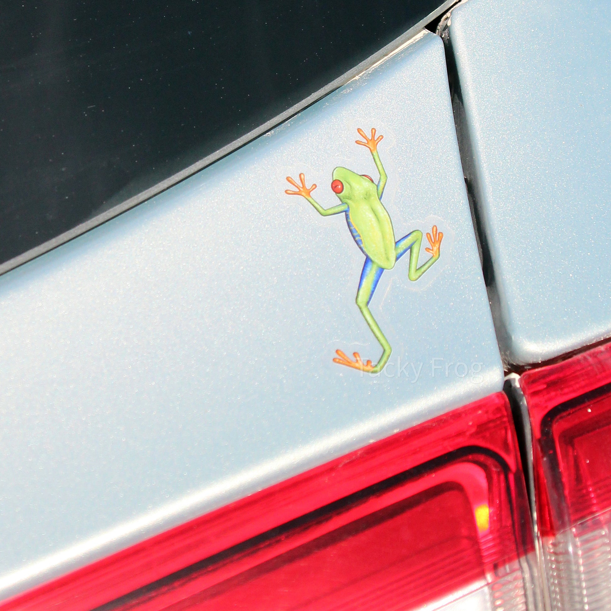 The red-eyed tree frog clear vinyl sticker placed on a car.