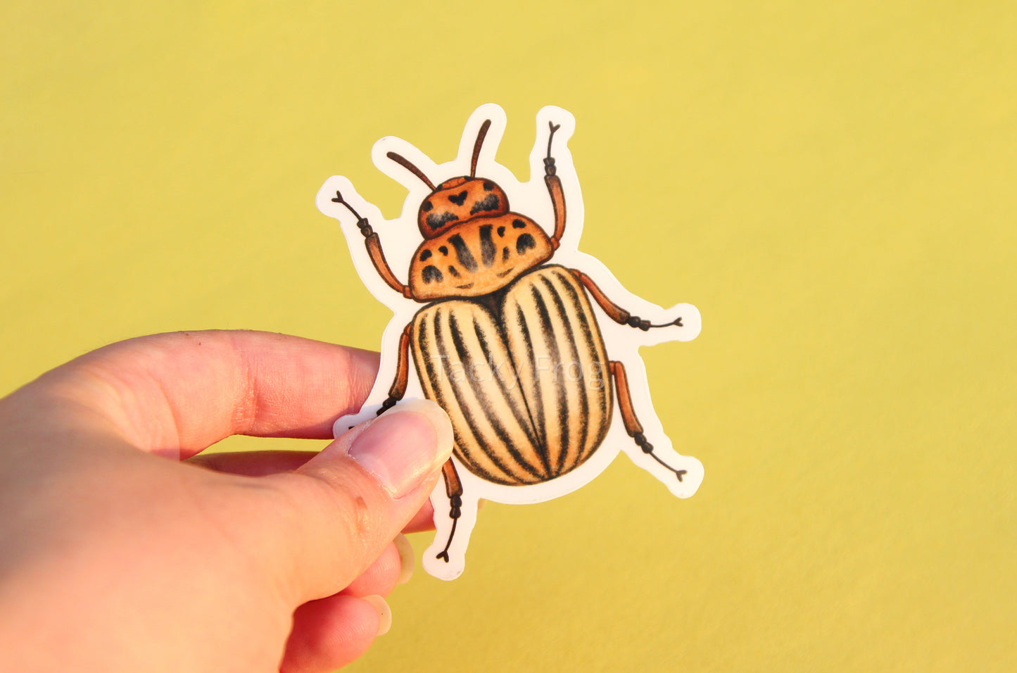 The potato beetle clear vinyl sticker with the white paper backing still on.