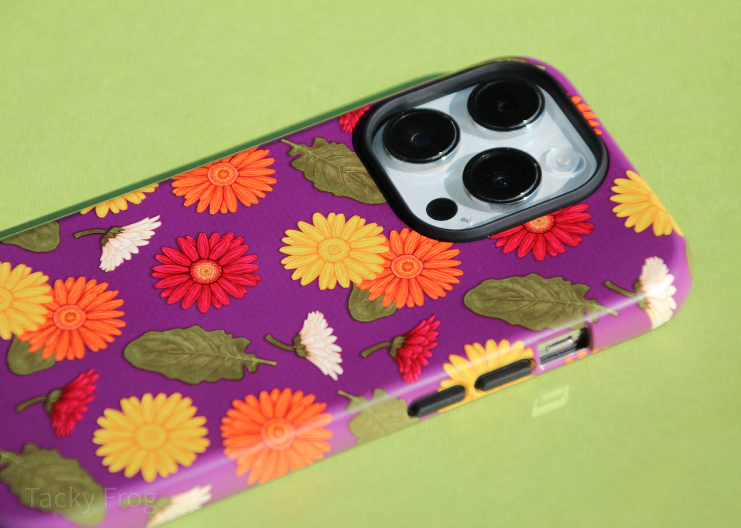 A closeup view of the Gerbera daisies case.