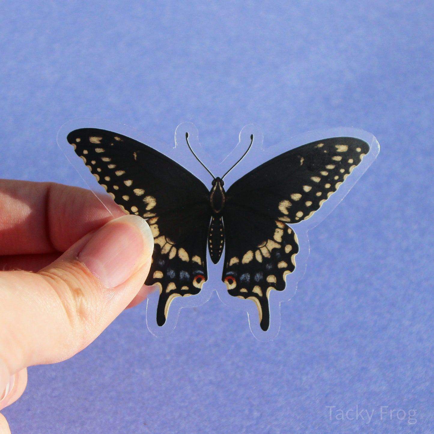 A clear vinyl sticker of a black swallowtail butterfly.