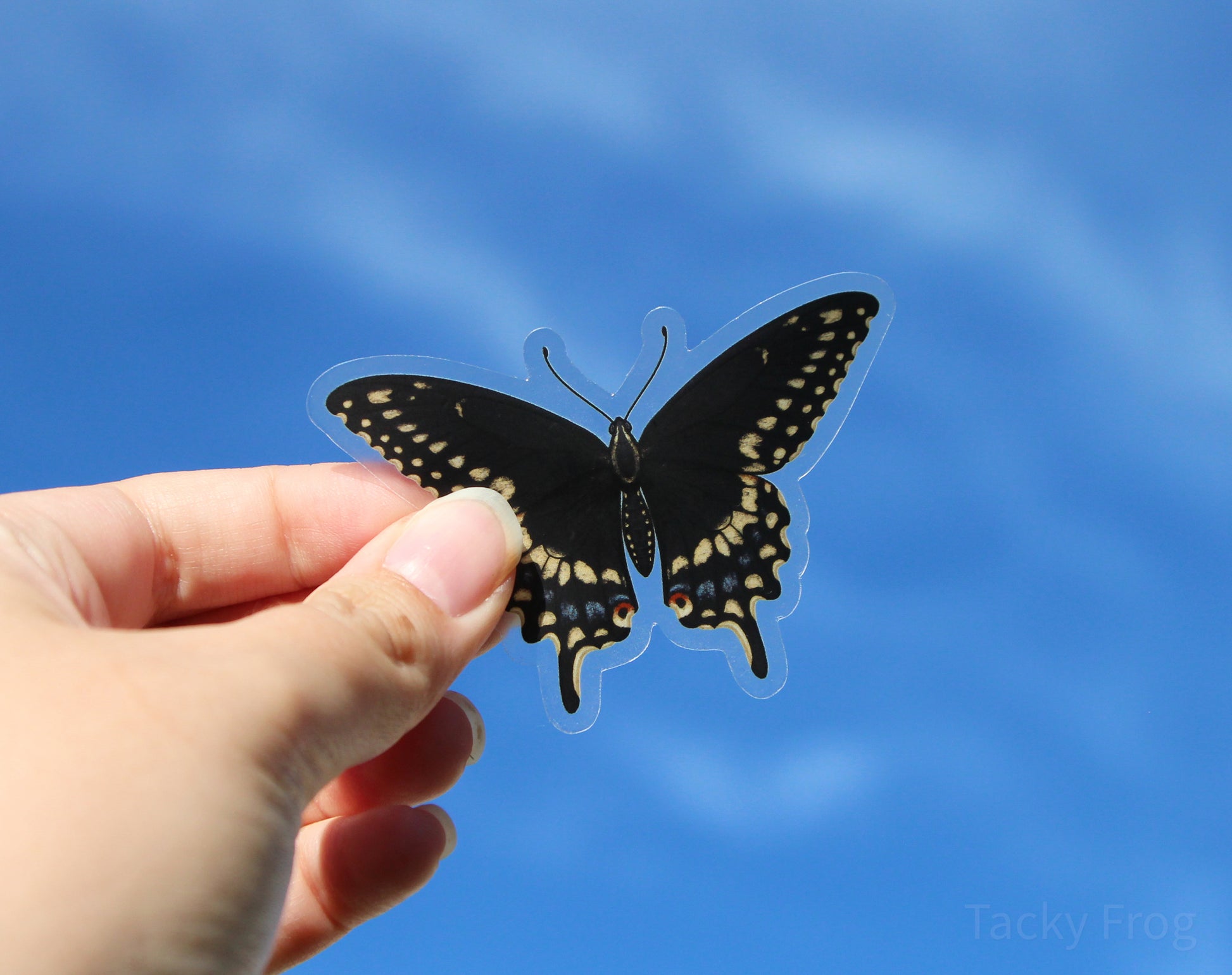 A clear vinyl sticker of a black swallowtail butterfly held up in the air.