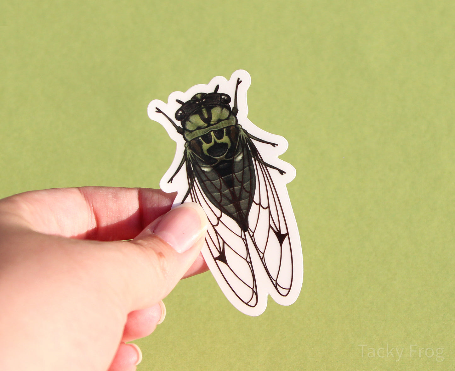 The green cicada clear vinyl sticker with the white paper backing still on.