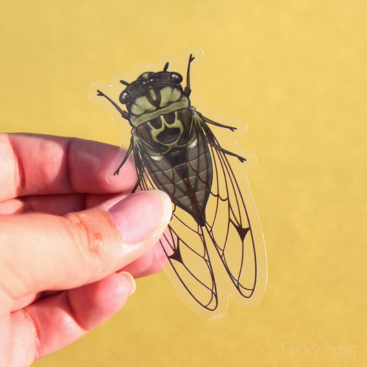 A clear vinyl sticker of a green cicada.