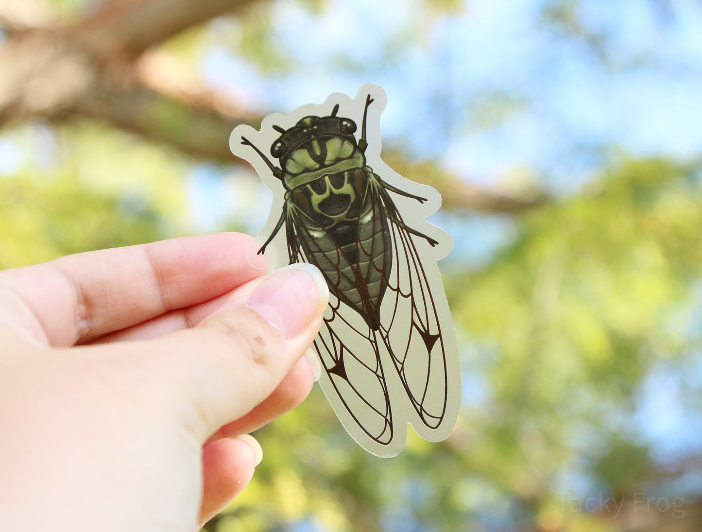 The green cicada clear vinyl sticker held up in front of a tree.